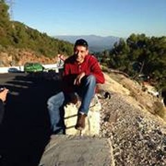 Tekin Işik