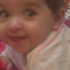 بوی گل بسطامی