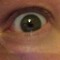 kevthetreemonkey
