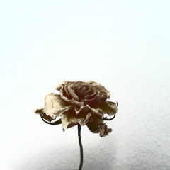 Architects - These Colours Don't Run (Cover-Mix Practice)