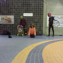 CatWearingRosaBearCostume