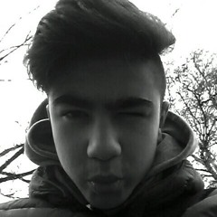 user593141526