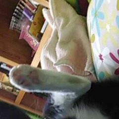 When You Believe - The Prince Of Egypt (mp3cut.net)