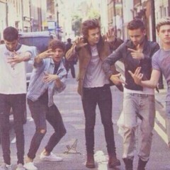 NiallHarryLouisLiamZayn