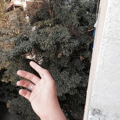 Sais Ompk