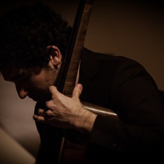 Lorenzo Troiani: Dalla Voce. Instabile