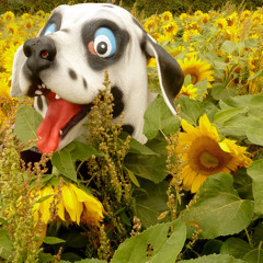 Jackdaw with Crowbar