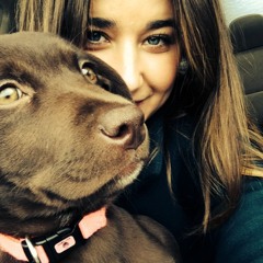 Ashley Lauren Taylor