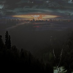 †p The Radical King