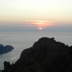 Georges Stamboulides