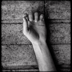 Taran Nadler