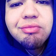 Manne Ibarra Bojorquez