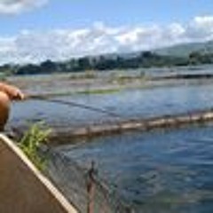 Laurence Varon Marino