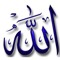 Mufti Habibullah Siraji