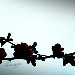 Anne Gy
