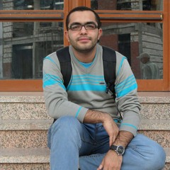 Ahmed EL-Sayed Hassan