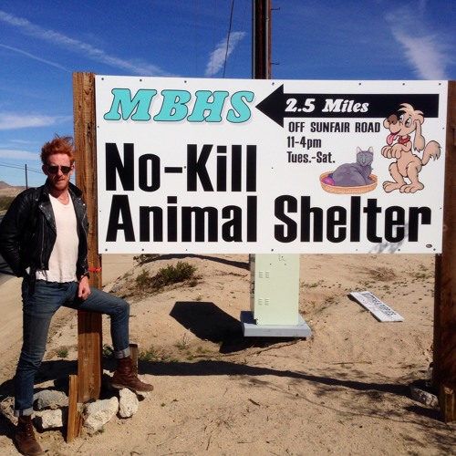 No Kill Animal Shelter | Free Listening on SoundCloud