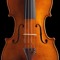 Violin Play