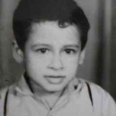 AMR ELWAN