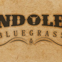 Bandolero Bluegrass