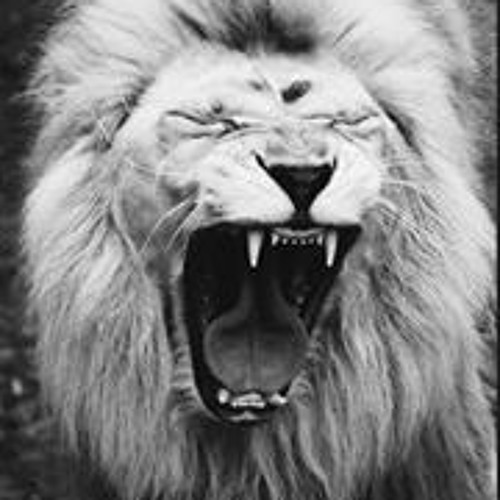MOTIVATION - BECOME A LION