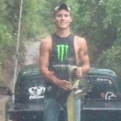 Gavin SketchySteve Ellis