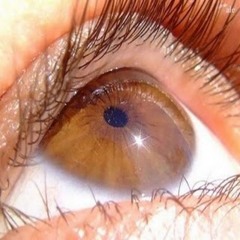 @@
