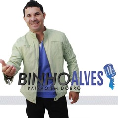 Teoria - Binho Alves e Companhia