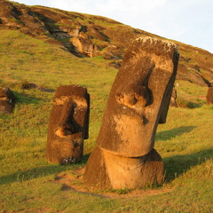 xenomera