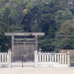 tomoki hashimoto