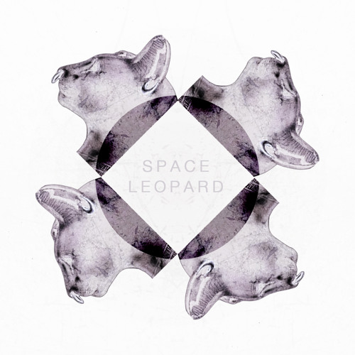 Stream Space Leopard music | Listen to songs, albums, playlists for ...