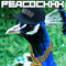 Peacockkk