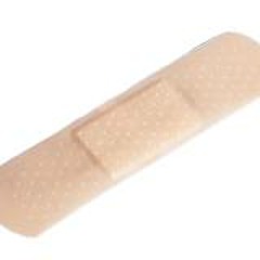 Guillermina Garcia Silva