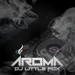 DJ Little Fox