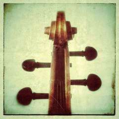 Benedikt Niedermaier