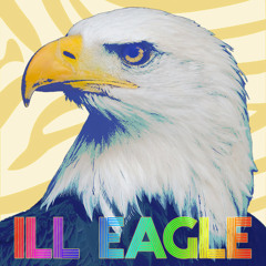 Ill Eagle Radio