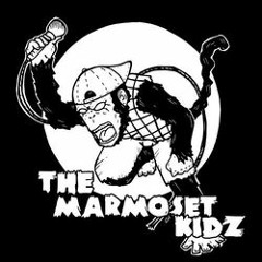 THE MARMOSET KIDZ