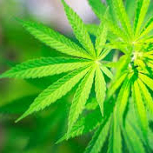 NonStop - House Trance - Sung Sang - Vũ Vô Tình on the mix