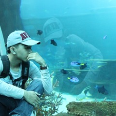 sne jea avey ( cover play play ) xD