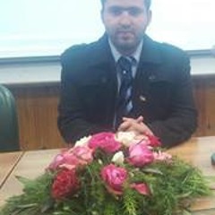 Mohammed Ramzy Hammouda