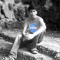 Ragavendra Kumar