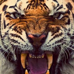 Grapevine (Mr. Carmack Remix)