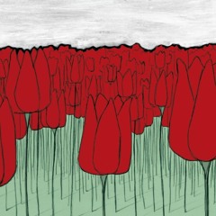 Le Note che non Vuoi