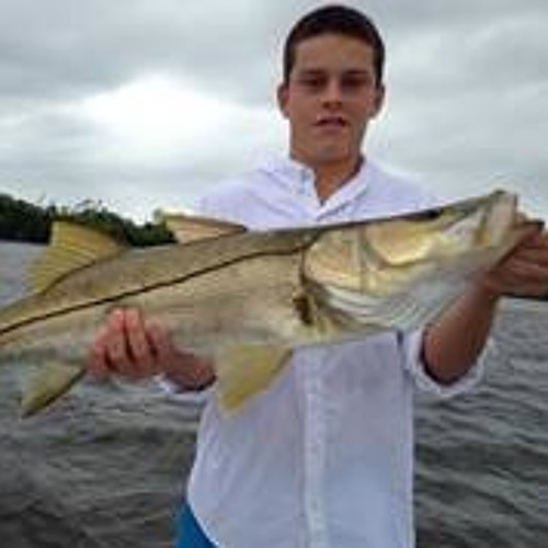 Stream Chandler Carpenter music Listen to songs, albums, playlists