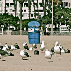 FranchiseEntertainment