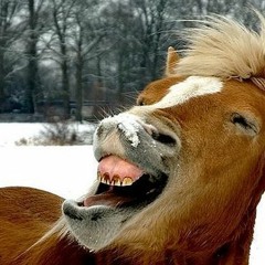 Herpinhorse