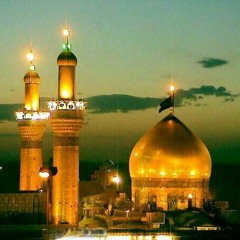 sajed107028
