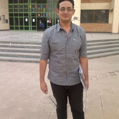 mohamed said abbas