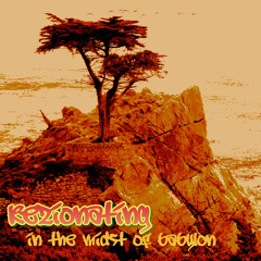 Rezionating
