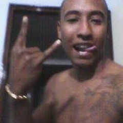 Luiz Pedro Paiva Fenix